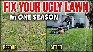 Fix An Ugly Lawn In ONE SEASON Without Seeding Or Overseeding [upl. by Hillel]