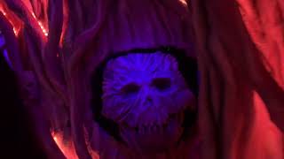 Eight Finger Maze  walkthrough  Knotts Scary Farm [upl. by Adnopoz]