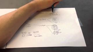 DNA and RNA Viruses Mnemonic for USMLE Step 1 [upl. by Dorothy]