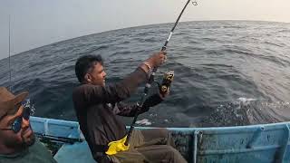 Wahoo It is best known to sports fishermen Wahoo Wahooligan IMyRIVAL KICKR fishing [upl. by Tereb]