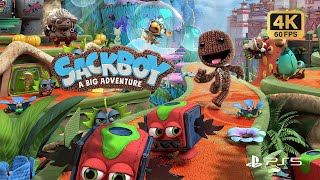 SackBoy A Big Adventure  PS5 TwoPlayers Gameplay [upl. by Enid801]