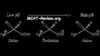 Amino acid affect on pH  BIOCHEMISTRY  MADE EASY protonation and deprotonation [upl. by Daffie]