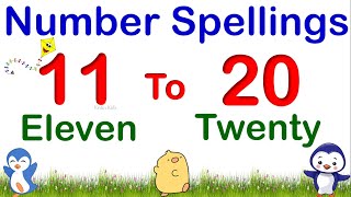 Number Names 11 to 20  11  20 Number Spellings  Eleven to Twenty Spelling  Number Names For Kids [upl. by Yrehc]