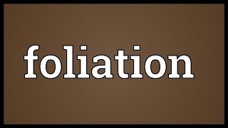 Foliation Meaning [upl. by Huoh615]