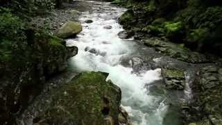 இڿڰۣ THE CHASM  FIORDLAND  NEW ZEALAND [upl. by Schultz958]