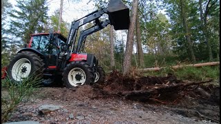 Taking down another tree with my Valtra Valmet tractor [upl. by Drew667]