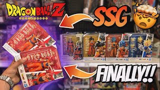 I FOUND Super Saiyan GOD Goku Dragon Ball SH Figuarts Figure Hunt [upl. by Asoj]