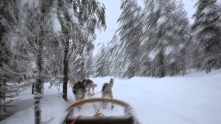 HUSKY PARK ROVANIEMI [upl. by Ttoile]