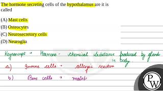 The hormone secreting cells of the hypothalamus are it is called [upl. by Annovahs]