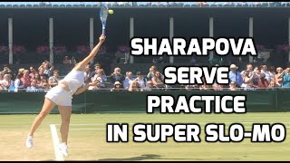 Sharapova Serve Super SloMo [upl. by Rheinlander450]