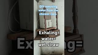 DIY water removal homestead chickencoop wet drying water dehumidifier [upl. by Papagena]