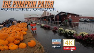 The Pumpkin Patch 🎃 Walking Tour  Portland Oregon [upl. by Sadler958]