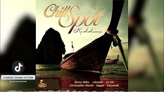 CHILL SPOT RIDDIM MIX 2012 CyanideSoundSystem Dancehall Reggae dj chillspot music 2012 [upl. by Levana]