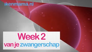 2 weken zwanger Bekijk eerste symptomen en meer informatie over je baby  ikenmamanl [upl. by Lovash]