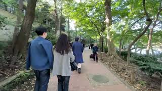 東京 吉祥寺 井の頭恩賜公園周辺を散歩 [upl. by Reemas]