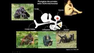 23 Le processus de lévolution biologique  Sélection naturelle de Darwin à la génomique évolutive [upl. by Nwadahs994]