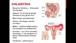 Chapter 27 SEXUALLY TRANSMITTED INFECTIONS [upl. by Gnilrits]