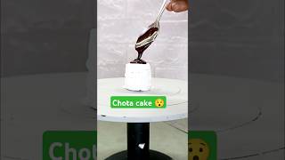 world smallest cake banaya🎂😱 cakedecorating viral shorts trandingshorts cake cakedesign [upl. by Akram]