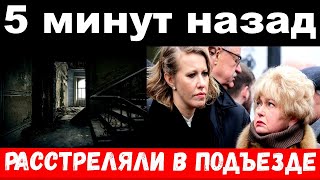 5 минут назад чп  расстреляли в подъезде  семья Собчак печальные новости [upl. by Tolmann875]