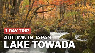 One of the Best Autumn Spots in Japan Lake Towada  japanguidecom [upl. by Atenahs]