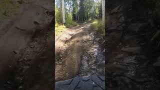 ATV ride through Aspen forest in Colorado [upl. by Lenwood289]