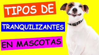 TIPOS de TRANQUILIZANTES para PERROS y GATOS [upl. by Mima]