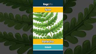 🇬🇧🇪🇸 fern  helecho  vocabulary builder  learn English  aprendamos inglés [upl. by Cusick662]