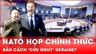 Các ngoại trưởng NATO họp chính thức Ukraine sắp được ‘cứu nguy’  Thời sự quốc tế [upl. by Bronson]