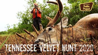 Tennessee Velvet Hunt 2020 SUCCESS VELVET GIANT DOWN [upl. by Nilyam]