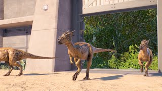 Jurassic World Evolution 2  CAPTURING COELOPHYSIS IN THE WILD [upl. by Oirasor]