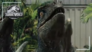 How Raptor Sound Effects Are Made  Behind The Scenes  Jurassic World [upl. by Silbahc]