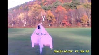 Another RC Deltoid run RC plane Triangle Pusher Plane Park Flyer [upl. by Asyl]