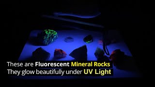 Fluorescent Mineral Rocks Glowing Under UV Light  Gadgetify [upl. by Juliano218]