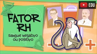 Fator Rh  por que o sangue é positivo ou negativo [upl. by Yadroc]