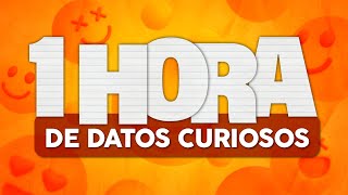 1 HORA de DATOS CURIOSOS y COSAS QUE NO SABÍAS ⏰😲 [upl. by Locke]