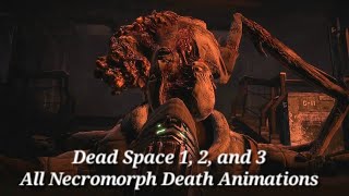 Brethren Moon Death Animation  Dead Space 3 HD 60 FPS [upl. by Anabel]