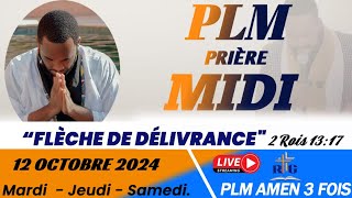 PLMPRIÈRE MIDI  FLÈCHE D DÉLIVRANCE  2 ROIS 1317  SAMEDI DE TÉMOIGNAGE  12 OCTOBRE 2024 [upl. by Allegra]