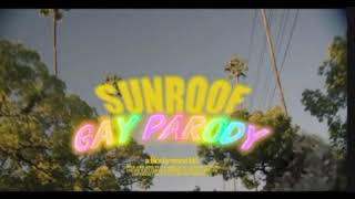 Nicky Youre dazy  Sunroof Gay Parody [upl. by Olotrab]