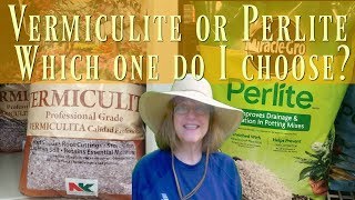 Vermiculite vs Perlite  Which Should I Choose [upl. by Yelrebma]