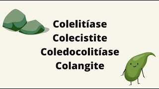 Colelitíase x Colecistite x Coledocolitíase x Colangite [upl. by Ethelda98]