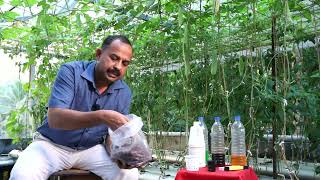 WANT TO KNOW HOW TO GROW HYDROPONIC VEGETABLES  മണ്ണില്ലാതെ പച്ചക്കറി കൃഷി ചെയ്യാം [upl. by Lledniw]