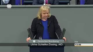 AKTUELL  REDE ULRIKE SCHIELKEZIESING  AFD  AM 22MÄRZ IM DEUTSCHEN BUNDESTAG IN BERLIN [upl. by Tiphani]