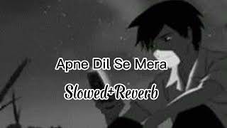 Apne Dil Se Mera Haq Mitane LageSlowedReverb SoulfulArijitSingh [upl. by Llenrup]