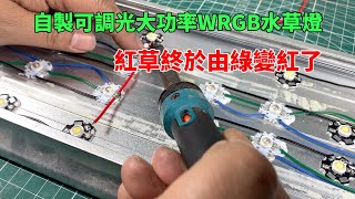 自製可調光大功率WRGB水草燈，紅草終於由綠變紅了Make WRGB plant lights controlled by Bluetooth [upl. by Siver748]