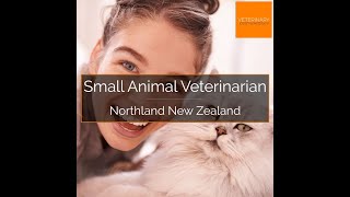 Small Animal Veterinarian  Whangarei Northland New Zealand [upl. by Questa]