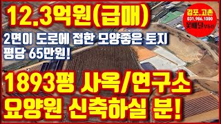 123억원급매1893평 사옥연구소요양원 등 신축하실 분 김포 월곶면 개곡리 땅 급매 평당 65만원 [upl. by Stephenie]