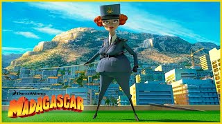 Dubois la imparable  DreamWorks Madagascar en Español Latino [upl. by Marten]