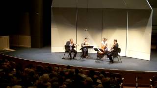 Bedrich Smetana Quartet No 1  III Largo sostenuto [upl. by Anaoy]