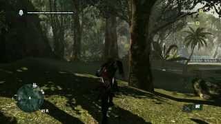 Assassins Creed IV Black Flag 845 468 Treasure location [upl. by Angelica]