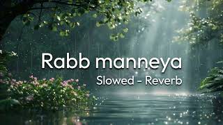 Rabb manneya  Slowed amp Reverb [upl. by Ronyar823]